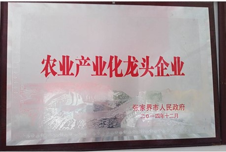 張家界千總生態食品有限公司,豆類食品生產加工銷售,血豆腐生產加工銷售,豆奶生產加工銷售